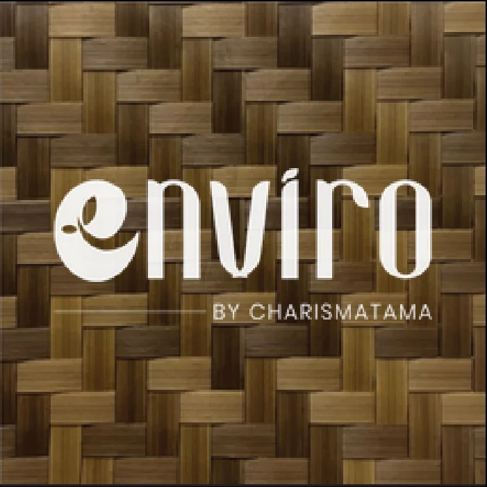 ENV 013